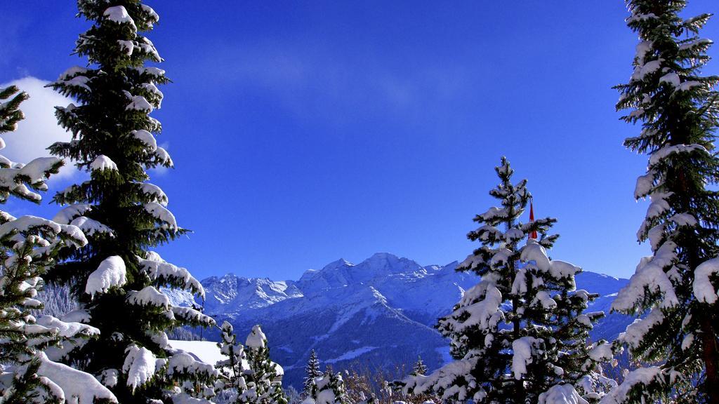 Hotel Montpelier Verbier Exterior photo